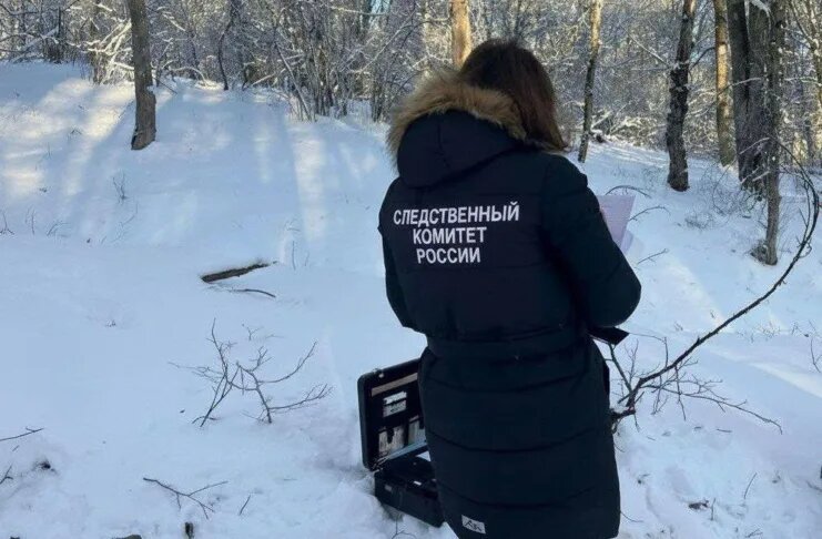    Фото: Следком КЧР / t.me/susk09/5420