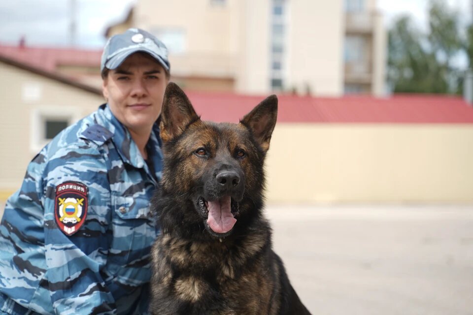 Самарские кинологи МВД воспитали уже не одно поколение отличных поисковиков
Фото: Светлана МАКОВЕЕВА