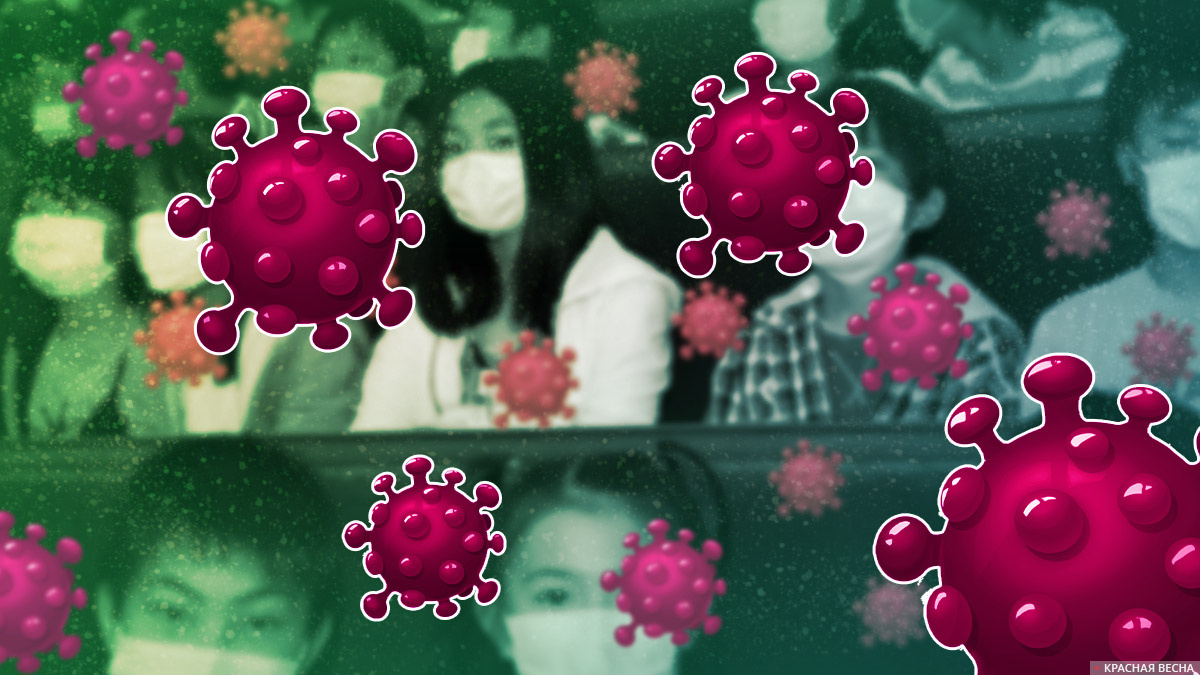     Коронавирус   
Мария Лапухина © ИА Красная Весна