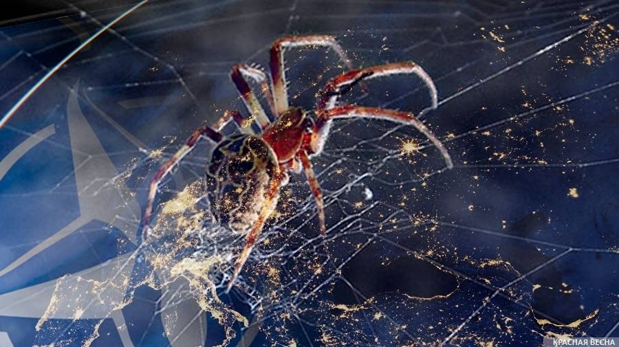     НАТО   
Сергей Анашкин © ИА Красная Весна