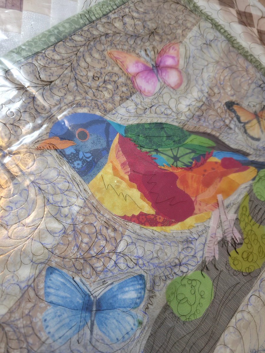 Эскиз стежки на пленке