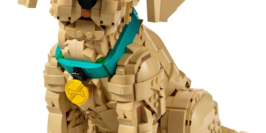 Знакомство с коллекционным набором Лего №11384, Щенок Золотистого Ретривера