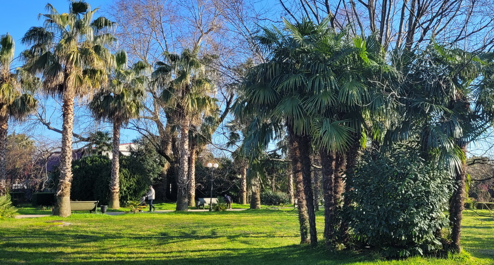 В парке "Южные культуры"