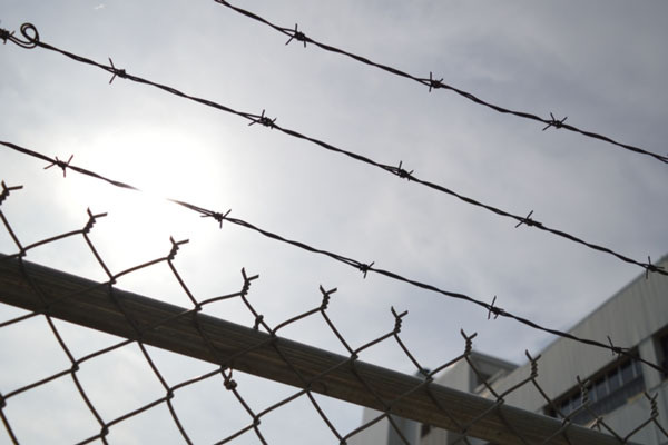     Фото: PxHere.com