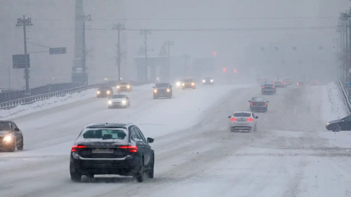     Андрей Никеричев / АГН Москва