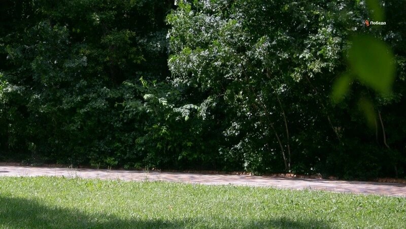      Фото: ИА «Победа26»