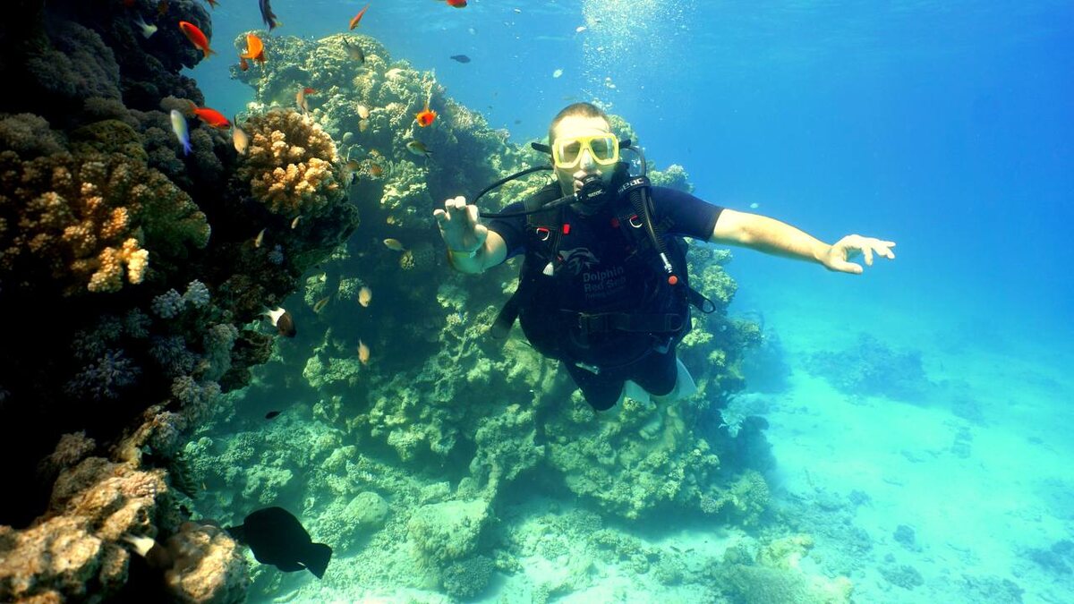 Дайвинг Шарм-эль-Шейх