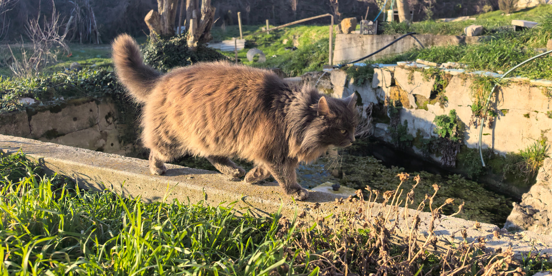 Никогда не сдавайся