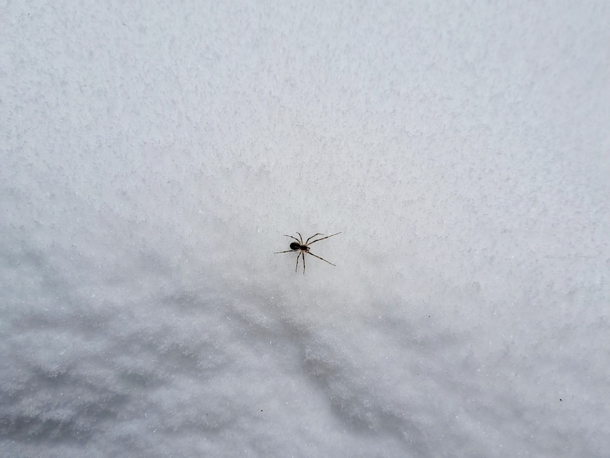    фото: © Даша Шаудвите