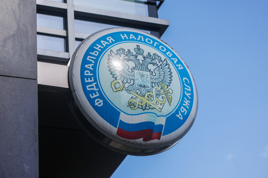    Наталья Шатохина/NEWS.ru