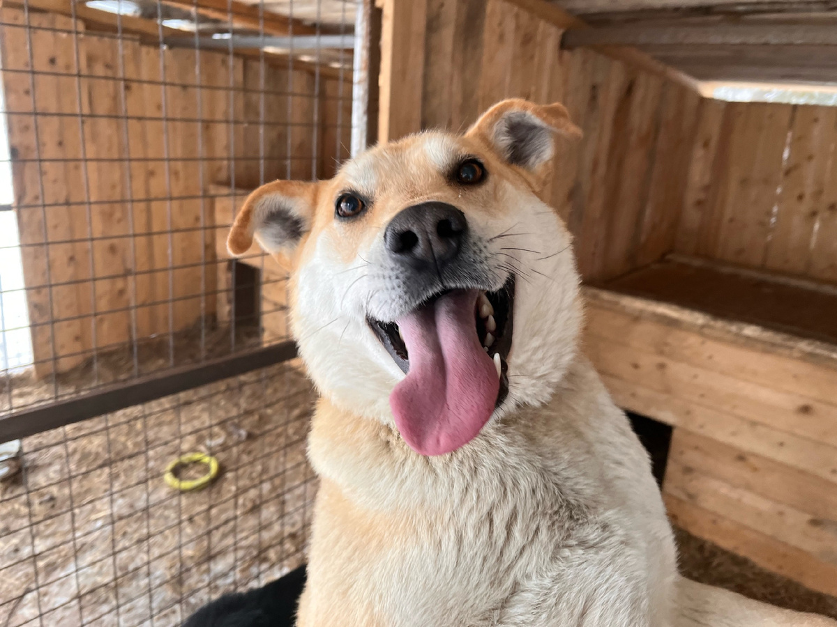 Гром очень рад ✌️✌️✌️