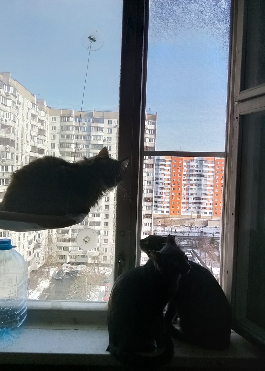 Лиза, Силя и Флинт