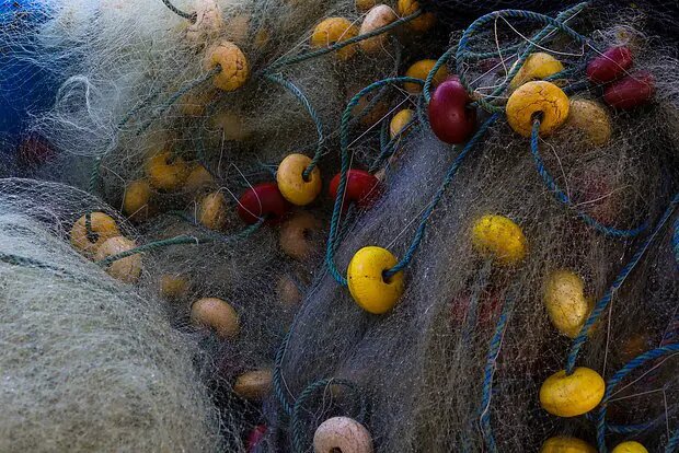    Источник: lenta.ru/ Даниил Власов