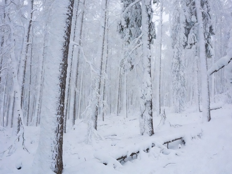     Фото: генерация Grok