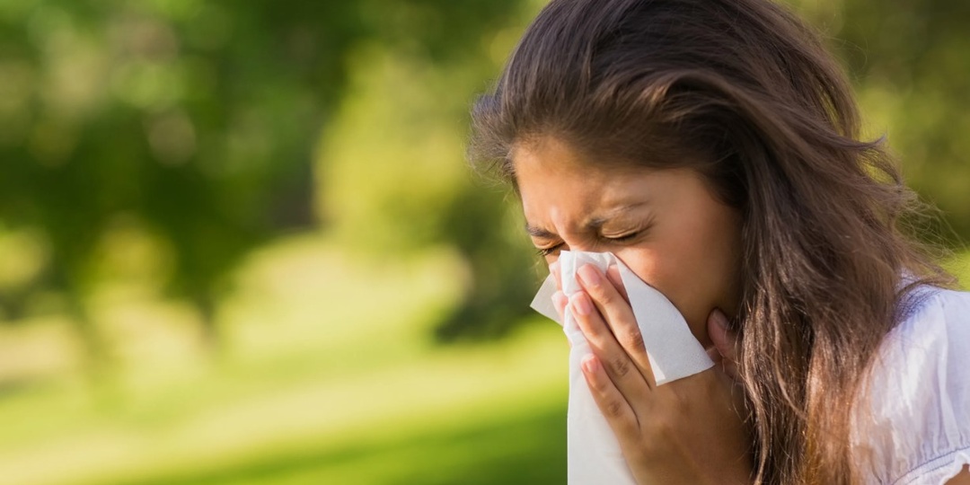 Аллергия: на кого или на что система «непереносимо» реагирует? 🌸