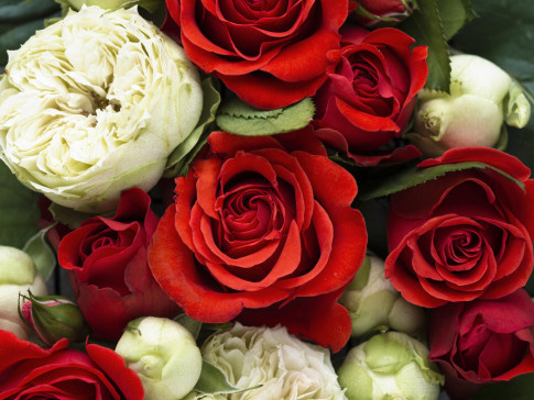 Путин поздравил композитора, народного артиста России Александра Зацепина со 100-летним юбилеем