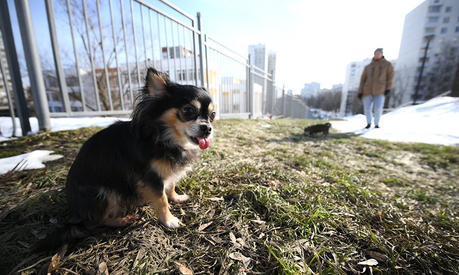    © Пелагия Тихонова/РИА Новости