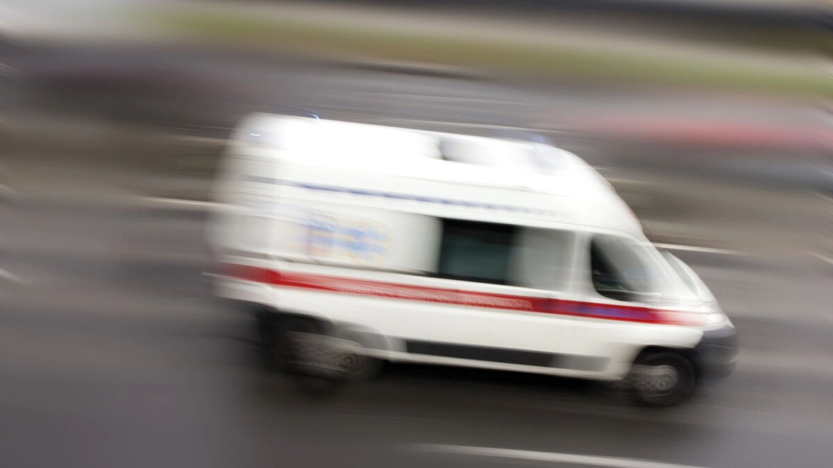    Фото: Alexandr Zadiraka/Shutterstock/Fotodom