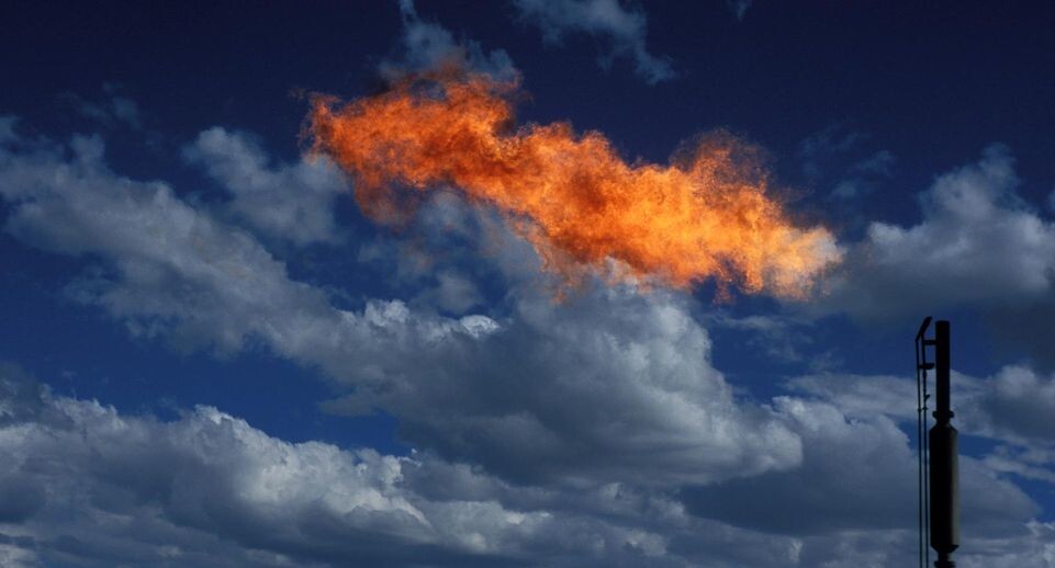    Gary Braasch/ZUMAPRESS.com/Global Look Press / www.globallookpress.com