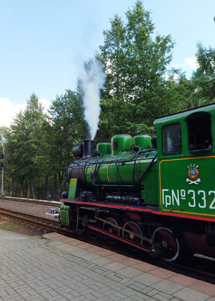 Все фото автора статьи 