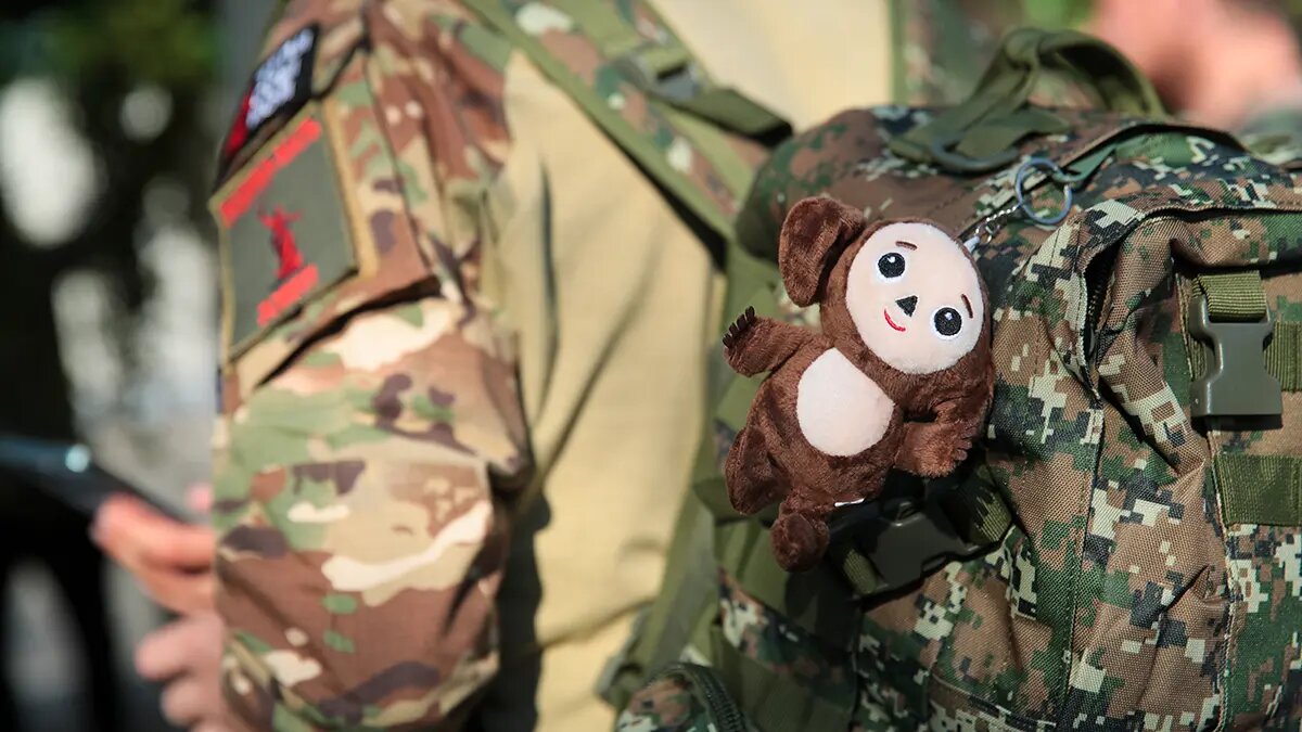    Источник: vm.ru/ Алиса Седова