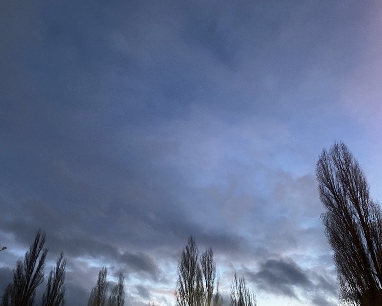     В Курской области вечером 10 марта объявлена опасность атаки беспилотников