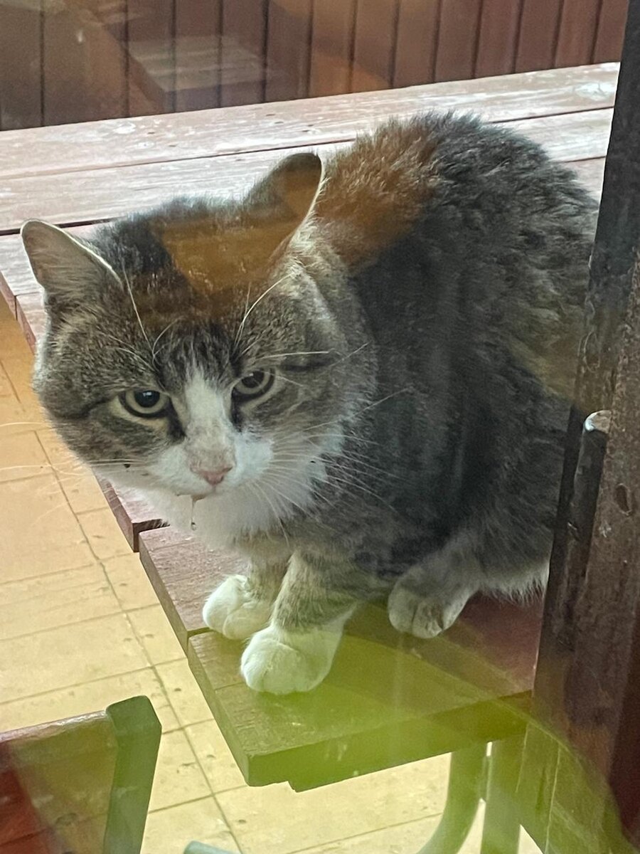 Есть-то дадут!