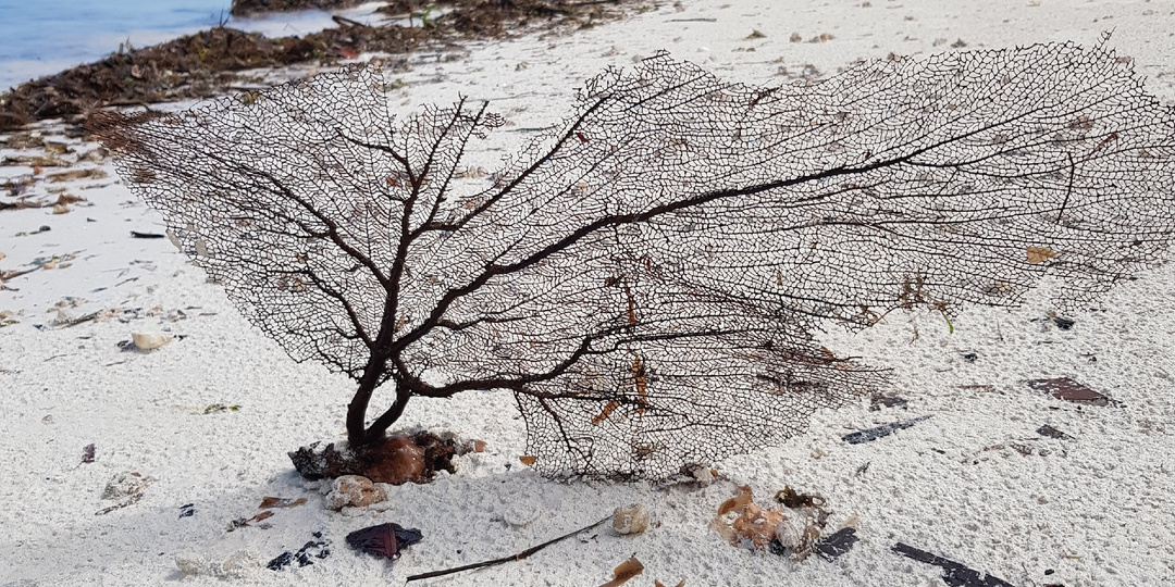 Отмена рейсов в ОАЭ и Катар. На Кубе нет топлива. Что сейчас происходит в мире туризма?