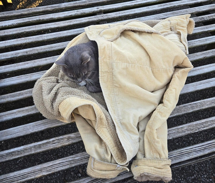 © RudeExplanation9304 