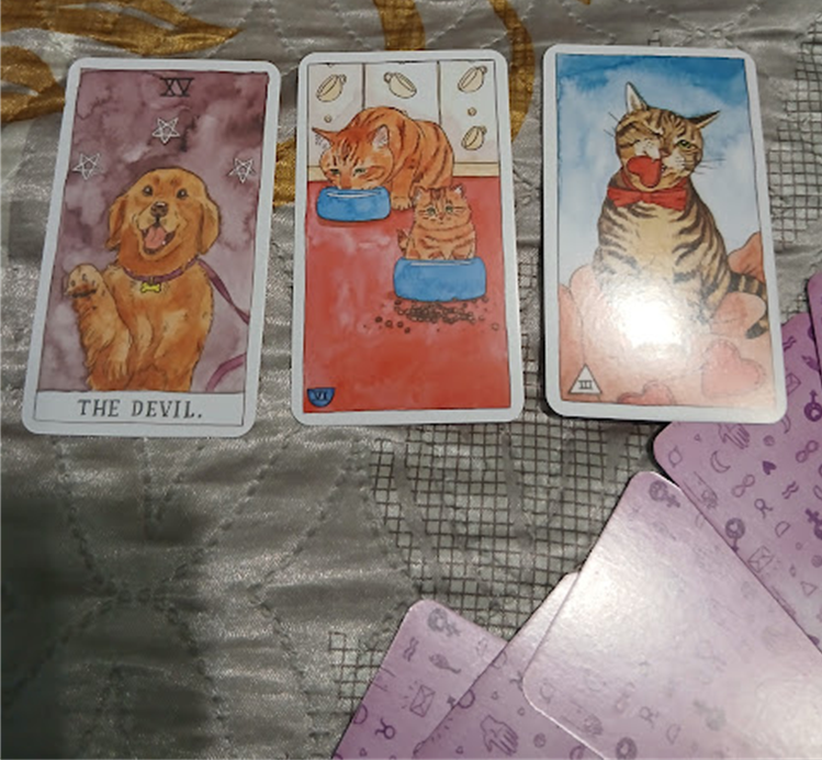 С кошачьей мудростью, розовыми картами и усами на ветру,
Тося 😸🔮✨🐾