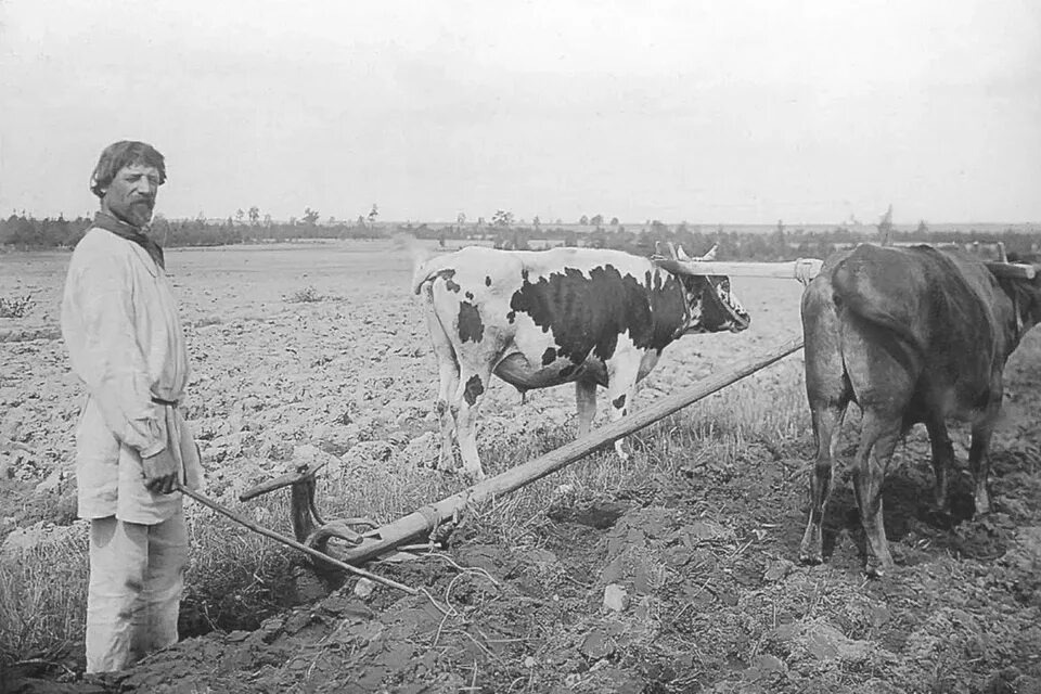 Фото https://avatars.mds.yandex.net/i?id=88d8e25df6bf7f212bc17c038f4a90a2_l-5858783-images-thumbs&n=13