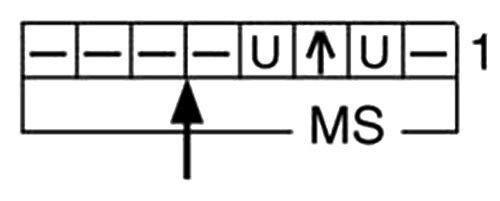 Фото из открытого источника
