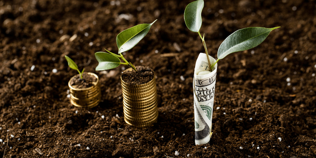 Применение гуминовых препаратов в условиях дефицита питания и роста цен на удобрения