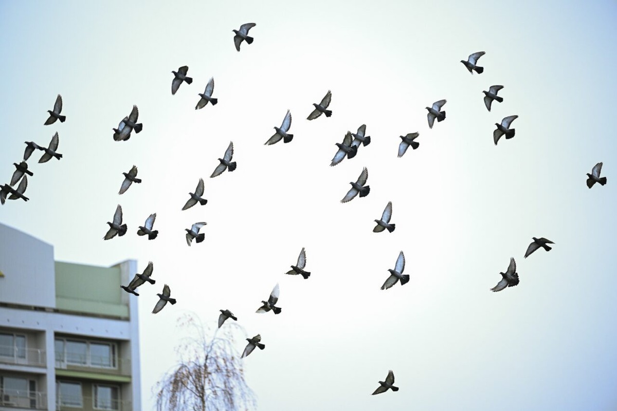    Фото: "Республика"/Сергей Юдин