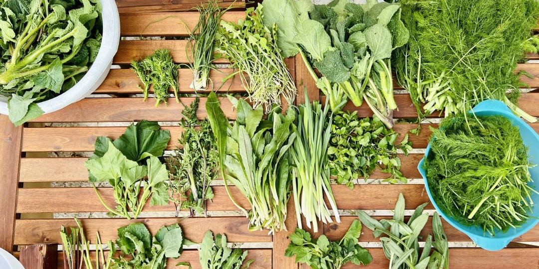 Зелень — кладезь клетчатки: 5 фактов, которые заставят вас полюбить петрушку и укроп