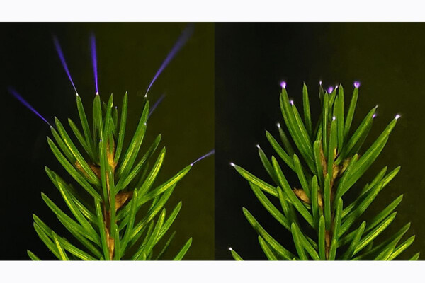 William Brune   📷