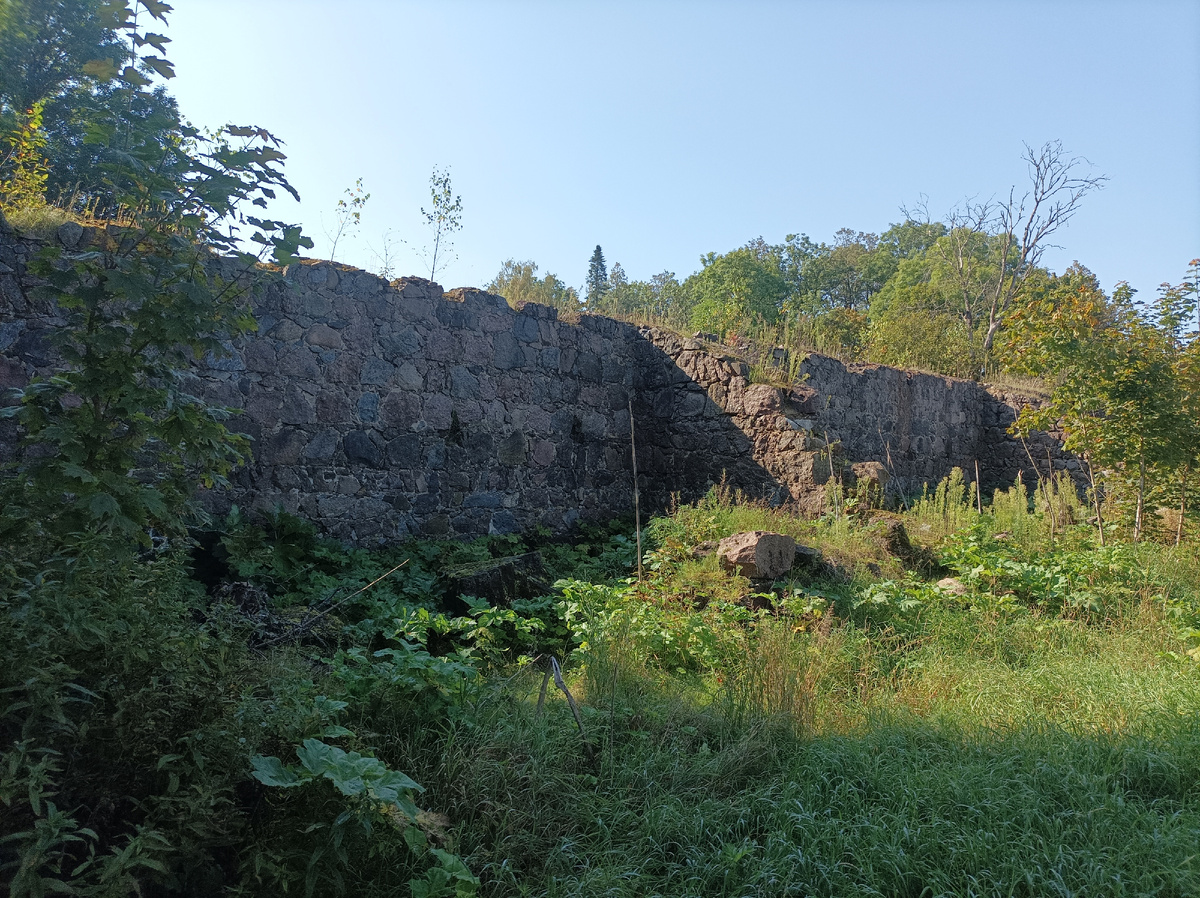 Мощные каменные стены бывшей оранжереи с перпендикулярными подпорками для большей прочности.