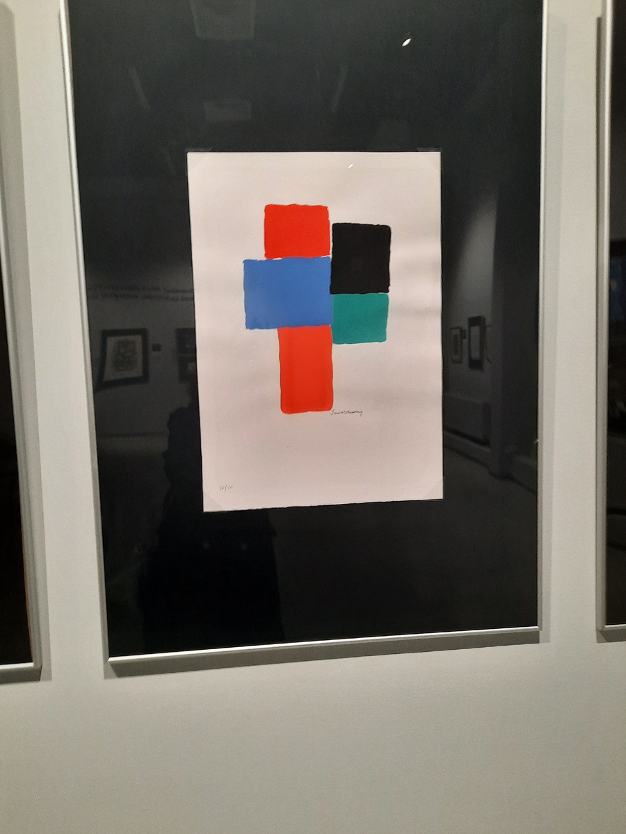 Работа Сони Делоне