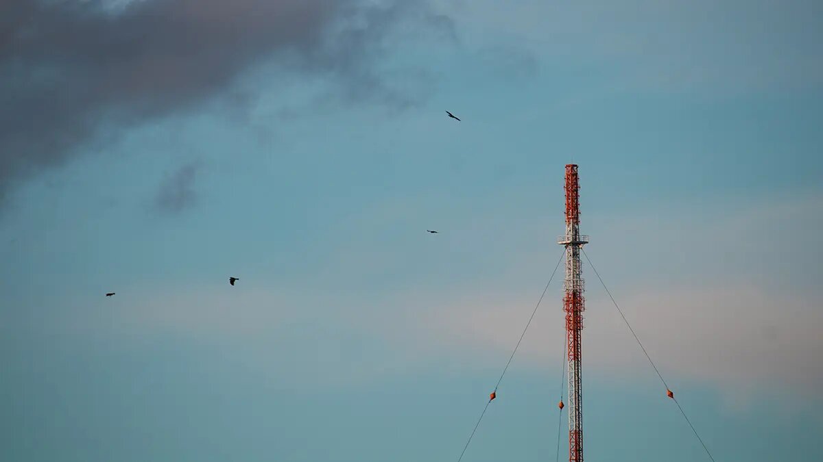    Источник: vm.ru/ Ярослава Мухина