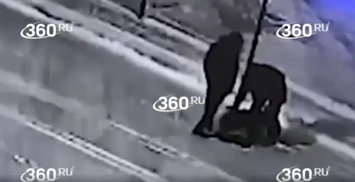    Фото: скриншот видео 360.ru