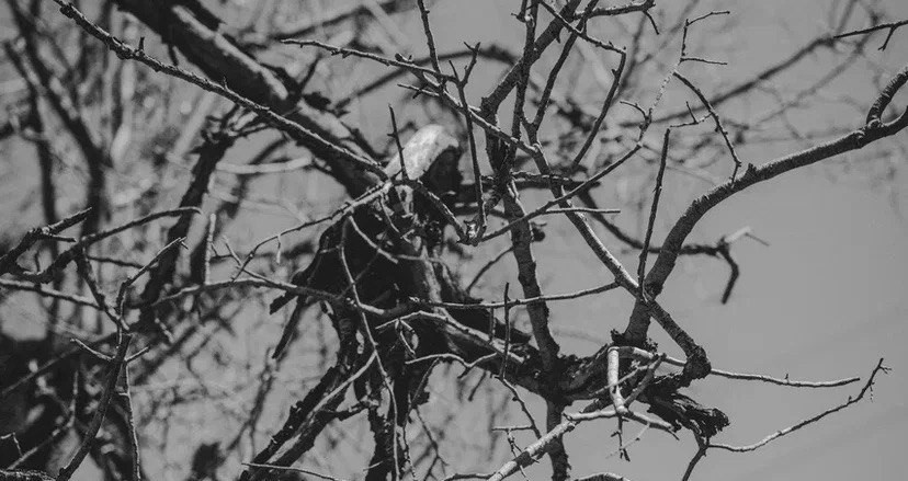 Энергетический вампиризм - что это?