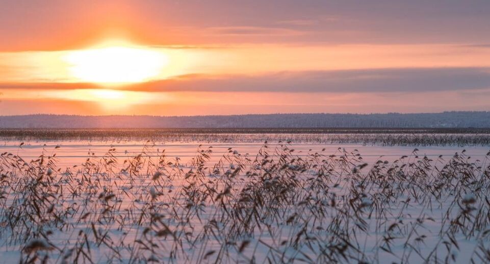    РИА «Новости»