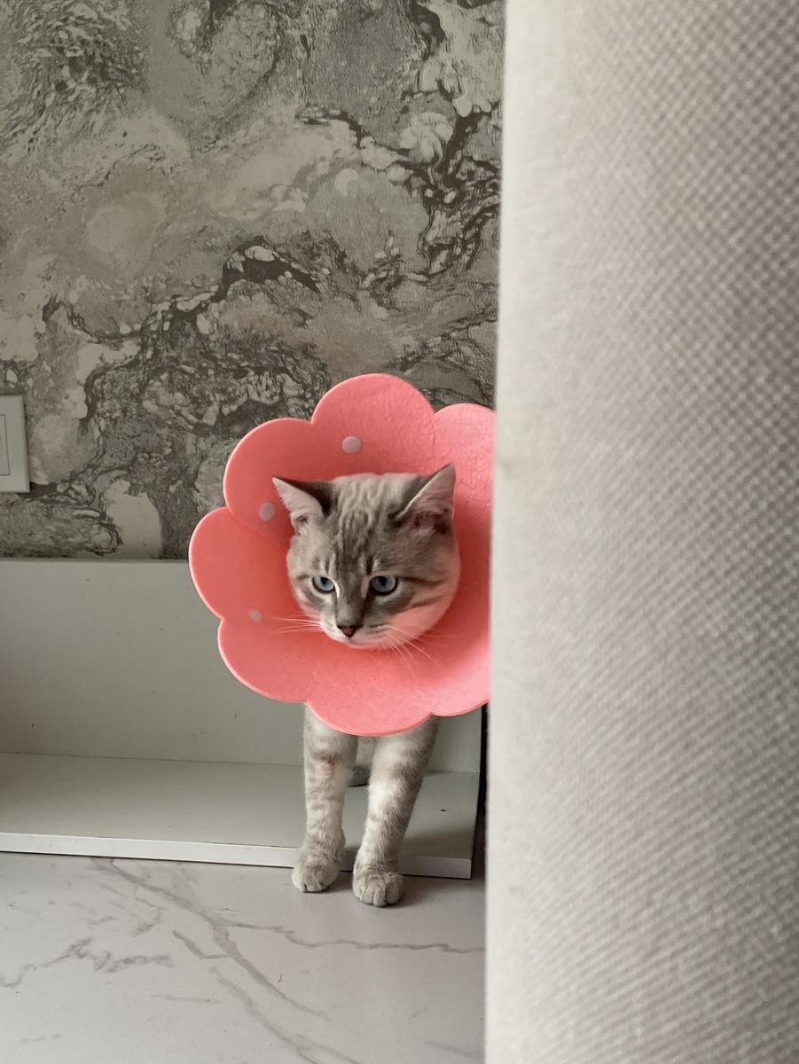 Ну разве не девочка?