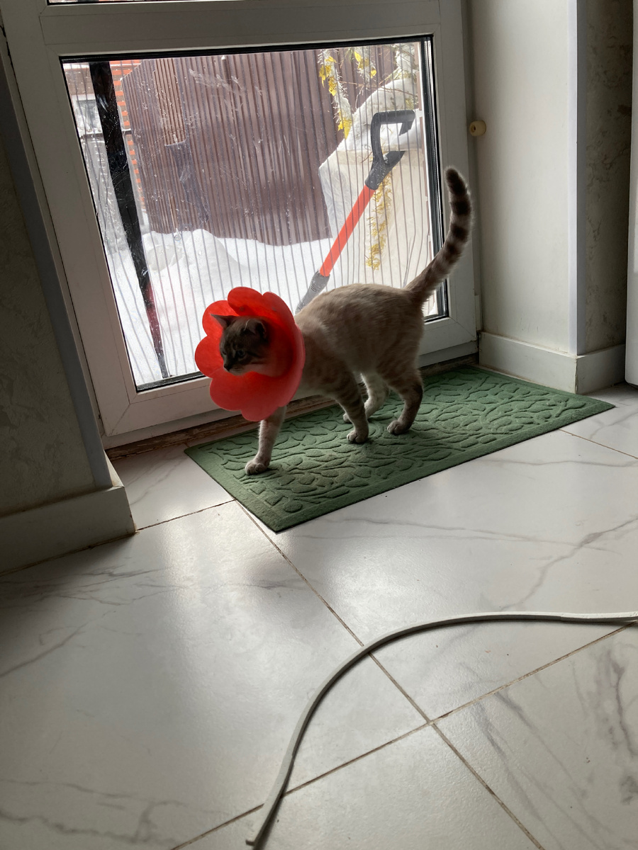 Базики вам не игрушки