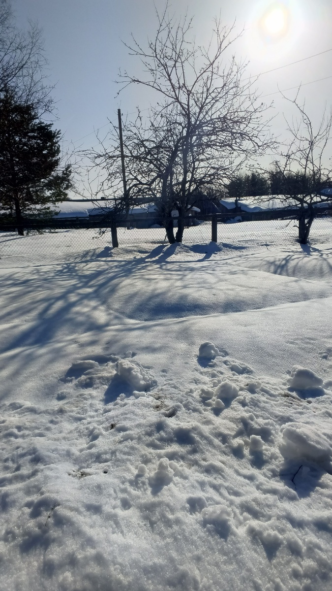 фото автора: мартовский снег