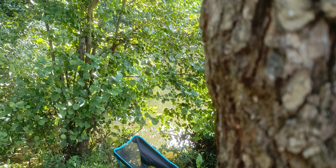 Места для рыбалки в Калининграде: озеро Лесное