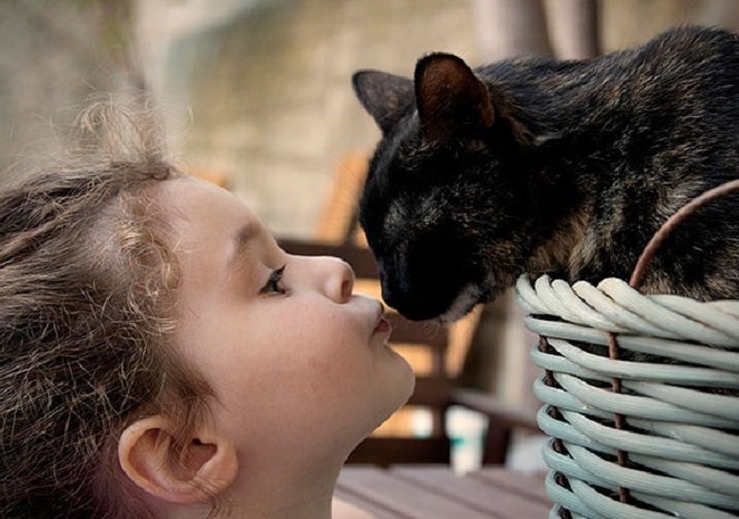 Из свободных источников