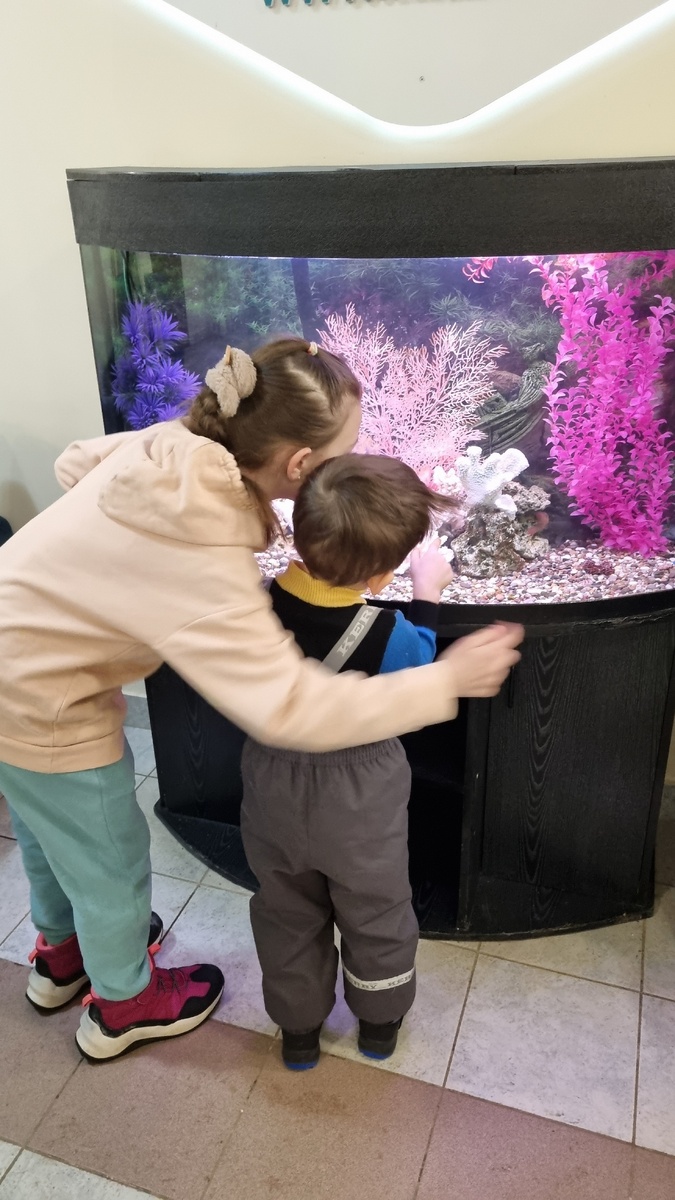 Вот там маленький сомик, там!