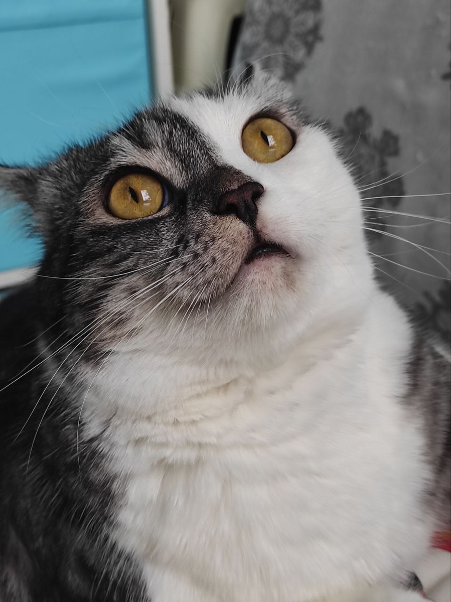 Такое писали? Ну обалдеть!