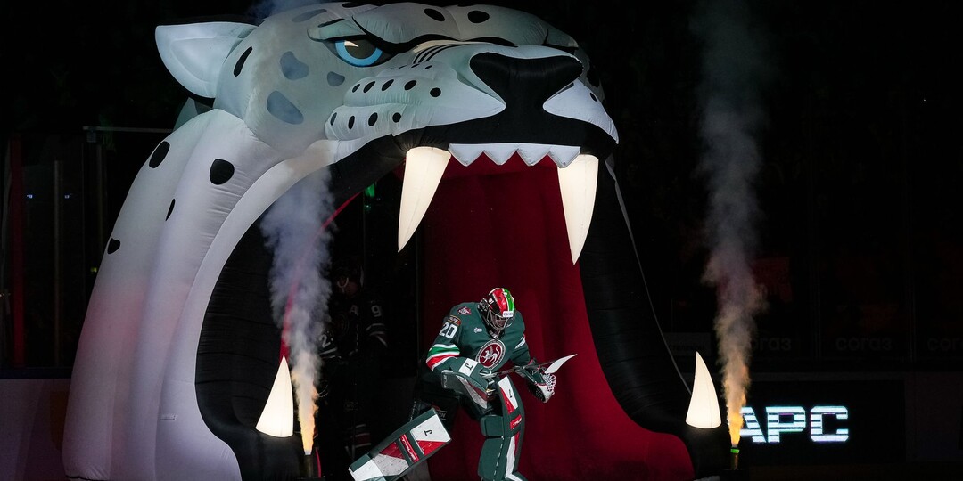 Почти идеальный матч «Ак Барса»: Хмелевский оформил дубль, Арефьев был близок к «сухарю»